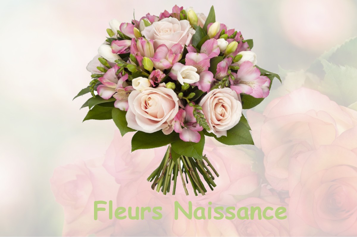 fleurs naissance NOYERS-SAINT-MARTIN