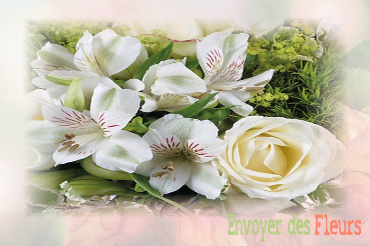 envoyer des fleurs à à NOYERS-SAINT-MARTIN