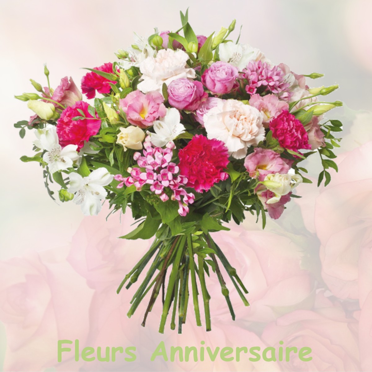 fleurs anniversaire NOYERS-SAINT-MARTIN